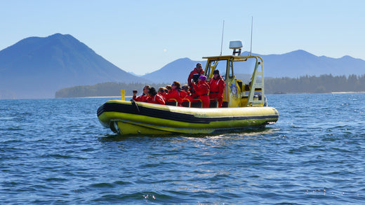 Bateaux Semi-Rigides : Dernières Tendances et Innovations